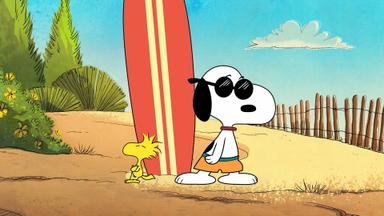 El show de Snoopy 1x9