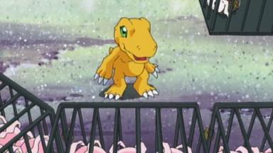 Digimon 1x15