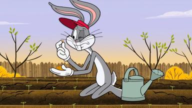 New Looney Tunes 1x23