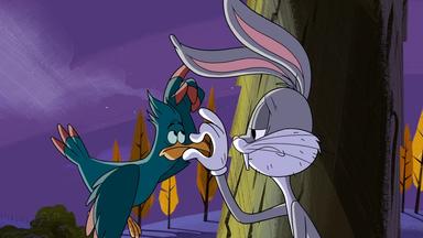 New Looney Tunes 1x20